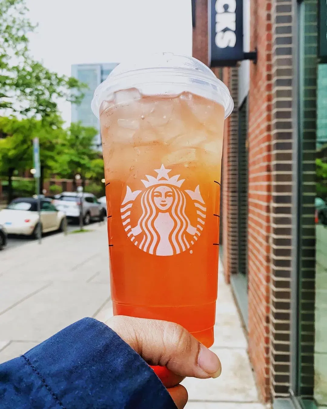 Starbucks Iced Peach Green Tea Lemonade